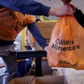 Colletta Alimentare, ottimi risultati in tutto il Barese