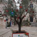 Un albero di Natale green per piazza XX settembre: il dono di Sanb alla città