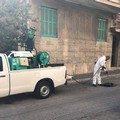 Il 3 ed il 4 giugno disinfestazione in tutta Bitonto