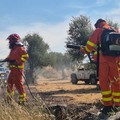 Ettari di terreni in fiamme vicino il Bosco Rogadeo di Bitonto