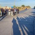 Manifestazione olivicoltori a Bitonto: ecco le ragioni profonde della protesta