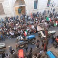 Settore olivicolo, la Giunta comunale di Bitonto istituisce Tavolo di crisi permanente
