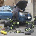 I Vigili del Fuoco recuperano un gattino a Bitonto