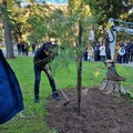 In villa comunale piantato un albero per commemorare il piccolo Nico Rubini