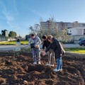  "Ambiente è Vita " festeggia i suoi primi dieci anni piantando due alberi a Bitonto