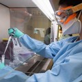 Coronavirus, 115 positivi a Bitonto. Ieri  "solo " 90 nuovi contagi in Puglia