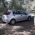 A Bitonto i ladri d'auto non rispettano la quarantena