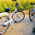 A Bitonto il 14 maggio c'è la  "Domenica in bici "