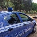 Auto rubate nascoste rinvenute nelle campagne tra Bitonto e Palo del Colle