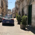 Non si ferma all'alt: scatta l'inseguimento, poi lo schianto contro un muro
