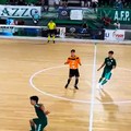 Coppa Divisione, il Futsal Bitonto si piega al Defender Giovinazzo