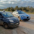 Furto di ortaggi nelle campagne di Bitonto, fermato un uomo