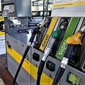 Coldiretti Puglia: «16 euro in più su ogni pieno di benzina»