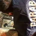 Droga nascosta nell'impianto fognario: cinque arresti a Bitonto