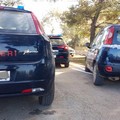 Recuperate due auto rubate a Bitonto. Erano pronte per essere cannibalizzate