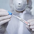 Coronavirus, 676 contagi registrati nel Barese nelle ultime ore