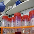 Coronavirus, altri 16 morti in Puglia nelle ultime ore