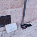 Derattizzazione, partiti a Bitonto controlli e monitoraggi sulle cassette antitopi