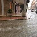 Allerta meteo: precipitazioni e forti temporali anche a Bitonto