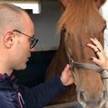 Disabili e ippoterapia: l'affetto dei cavalli sulla strada verso l'indipendenza