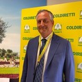 Coldiretti Puglia, il nuovo presidente è Alfonso Cavallo