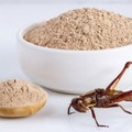 Rischio allergia per farine di insetti: Governo e Coldiretti spingono per etichettatura