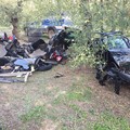 Rubate a Bitonto e trovate a Foggia: decine di auto a Borgo Mezzanone