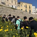 Fare Verde Bitonto apre il Parco di Lama Balice agli studenti del  "Volta-De Gemmis "