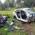 Auto rubate e cannibalizzate nascoste nelle campagne di Bitonto