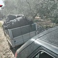 Furti di olive a Modugno: due denunciati, uno è di Bitonto