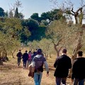Parco Lama Balice, percorso di alternanza scuola-lavoro con gli studenti del Liceo "E. Fermi" di Bari