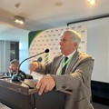 Piano Olivicolo Nazionale, Sicolo: «Obiettivi e strategie per i prossimi dieci anni»