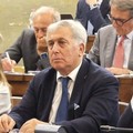 Crisi dell’olio, Sicolo al tavolo nazionale: “Subito piano straordinario in 5 punti”