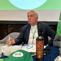 Galà dell'Olio a Bari, la critica di Sicolo: «Sottratto a Bitonto un format vincente»