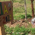 VogliAMO Bitonto Pulita organizza la pulizia dei giardini dedicati ai nuovi nati