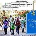 Escursione nel Bosco di Rogadeo per celebrare la 'Giornata nazionale del Camminare'