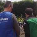 Gli alunni della De Renzio imparano a differenziare con l'aiuto dei volontari di Fare Verde