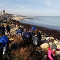 Spiaggia di Palese ripulita da scout, studenti e ambientalisti. Tanti volontari da Bitonto