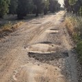 Forza Italia con gli agricoltori di Bitonto:  "Asfaltiamo la strada comunale Monteverde "