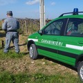 Criminalità nelle campagne, via alle audizioni per capire le contromisure