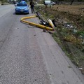 Auto fuori strada sulla 231, paura ma nessun ferito