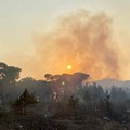 100mila euro da Regione a Comune di Bitonto per contrastare gli incendi nei boschi