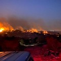 Incendio al Bosco di Bitonto. In fumo 100 ettari in località Rogadeo