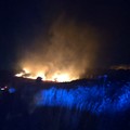 Incendio al Bosco di Bitonto. In fumo circa due chilometri di rovi