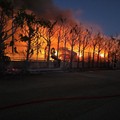 Vasto incendio a Terlizzi: l'appello del sindaco di Bitonto