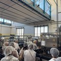 Gal bulgaro in visita a Bitonto in un'azienda olearia