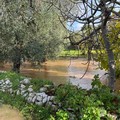 Bitonto, l'acqua si ritira tra Palombaio e Mariotto: si contano i danni - FOTO