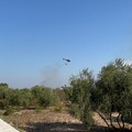 Vasto incendio in Lama Balice a Bitonto: la cronaca ed i VIDEO
