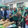 Grano, il bitontino Gennaro Sicolo ha guidato la protesta degli agricoltori a Bari