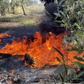 Lotta agli incendi estivi: un'ordinanza ribadisce gli obblighi anche nel territorio di Bitonto